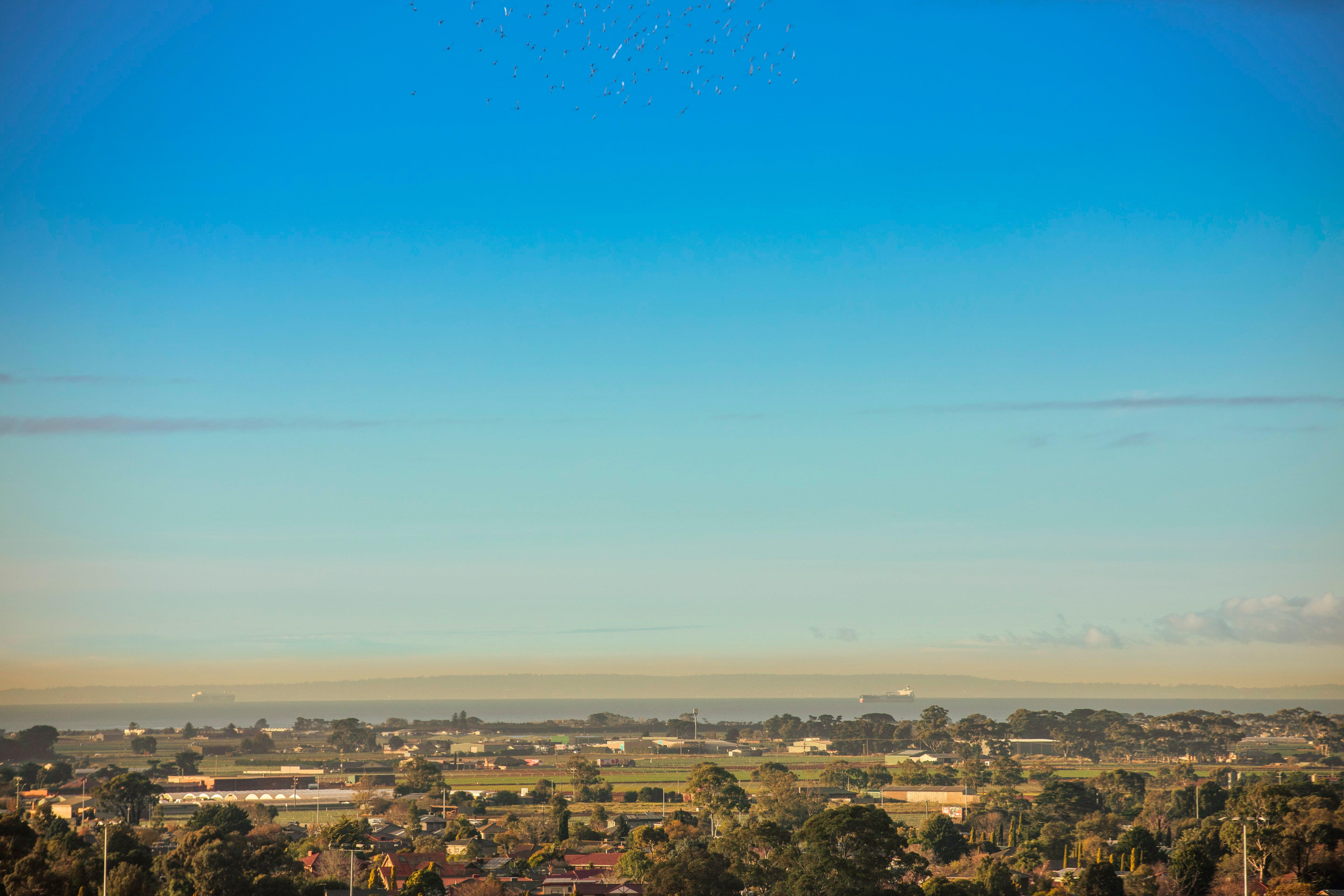 Holiday Inn Werribee By Ihg Εξωτερικό φωτογραφία